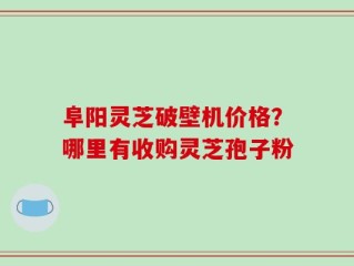阜阳灵芝破壁机价格？哪里有收购灵芝孢子粉