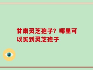 甘肃灵芝孢子？哪里可以买到灵芝孢子