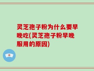 灵芝孢子粉为什么要早晚吃(灵芝孢子粉早晚服用的原因)