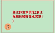 浙江野生木灵芝(浙江发现珍稀野生木灵芝！)