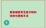 泰安破壁灵芝孢子粉的功效与使用方法