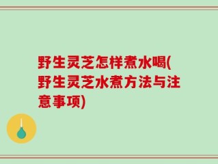 野生灵芝怎样煮水喝(野生灵芝水煮方法与注意事项)