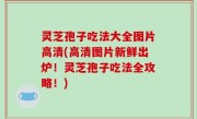 灵芝孢子吃法大全图片高清(高清图片新鲜出炉！灵芝孢子吃法全攻略！)