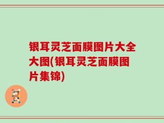 银耳灵芝面膜图片大全大图(银耳灵芝面膜图片集锦)