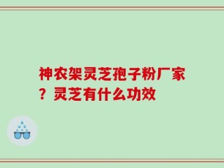 神农架灵芝孢子粉厂家？灵芝有什么功效