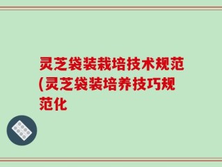 灵芝袋装栽培技术规范(灵芝袋装培养技巧规范化