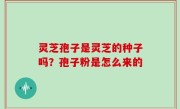 灵芝孢子是灵芝的种子吗？孢子粉是怎么来的