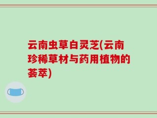 云南虫草白灵芝(云南珍稀草材与药用植物的荟萃)