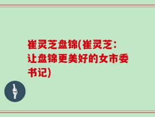 崔灵芝盘锦(崔灵芝：让盘锦更美好的女市委书记)