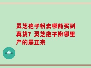 灵芝孢子粉去哪能买到真货？灵芝孢子粉哪里产的最正宗