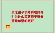 灵芝孢子切片有啥好处？为什么灵芝孢子粉去壁比破壁的更好