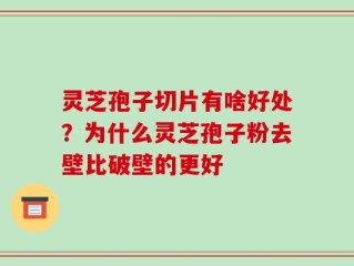 灵芝孢子切片有啥好处？为什么灵芝孢子粉去壁比破壁的更好