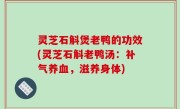 灵芝石斛煲老鸭的功效(灵芝石斛老鸭汤：补气养血，滋养身体)