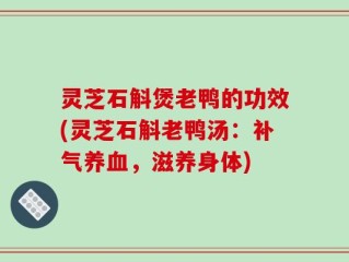 灵芝石斛煲老鸭的功效(灵芝石斛老鸭汤：补气养血，滋养身体)