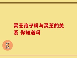 灵芝孢子粉与灵芝的关系 你知道吗
