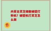 内蒙古灵芝细胞破壁打粉机？破壁机打灵芝怎么做