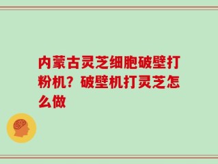 内蒙古灵芝细胞破壁打粉机？破壁机打灵芝怎么做