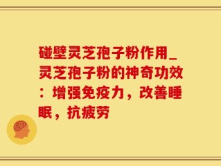 碰壁灵芝孢子粉作用_灵芝孢子粉的神奇功效：增强免疫力，改善睡眠，抗疲劳