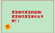 灵芝和竹灵芝的区别(灵芝和竹灵芝有什么不同？)