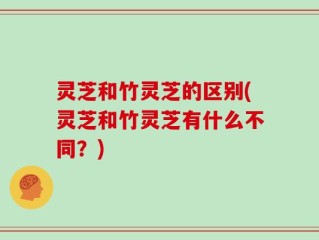 灵芝和竹灵芝的区别(灵芝和竹灵芝有什么不同？)