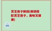 灵芝孢子鲜鸽(鲜鸽搭配灵芝孢子，美味又健康)