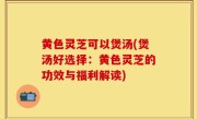 黄色灵芝可以煲汤(煲汤好选择：黄色灵芝的功效与福利解读)
