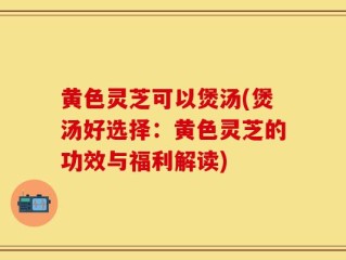黄色灵芝可以煲汤(煲汤好选择：黄色灵芝的功效与福利解读)