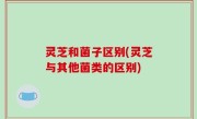 灵芝和菌子区别(灵芝与其他菌类的区别)