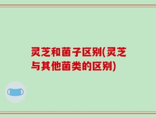 灵芝和菌子区别(灵芝与其他菌类的区别)