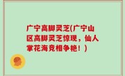 广宁高脚灵芝(广宁山区高脚灵芝惊现，仙人掌花海竞相争艳！)