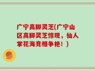 广宁高脚灵芝(广宁山区高脚灵芝惊现，仙人掌花海竞相争艳！)