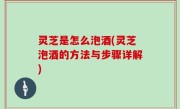 灵芝是怎么泡酒(灵芝泡酒的方法与步骤详解)
