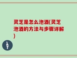 灵芝是怎么泡酒(灵芝泡酒的方法与步骤详解)