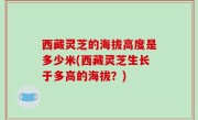 西藏灵芝的海拔高度是多少米(西藏灵芝生长于多高的海拔？)