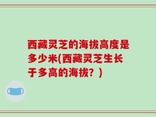 西藏灵芝的海拔高度是多少米(西藏灵芝生长于多高的海拔？)