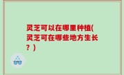 灵芝可以在哪里种植(灵芝可在哪些地方生长？)