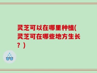 灵芝可以在哪里种植(灵芝可在哪些地方生长？)