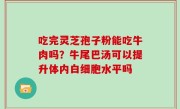 吃完灵芝孢子粉能吃牛肉吗？牛尾巴汤可以提升体内白细胞水平吗