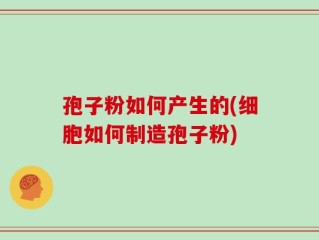 孢子粉如何产生的(细胞如何制造孢子粉)