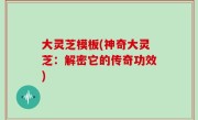 大灵芝模板(神奇大灵芝：解密它的传奇功效)