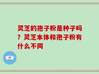 灵芝的孢子粉是种子吗？灵芝本体和孢子粉有什么不同