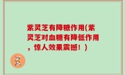紫灵芝有降糖作用(紫灵芝对血糖有降低作用，惊人效果震撼！)