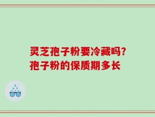 灵芝孢子粉要冷藏吗？孢子粉的保质期多长