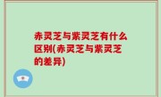 赤灵芝与紫灵芝有什么区别(赤灵芝与紫灵芝的差异)