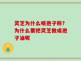 灵芝为什么喷孢子粉？为什么要把灵芝做成孢子油呢