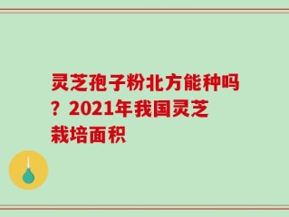 灵芝孢子粉北方能种吗？2021年我国灵芝栽培面积