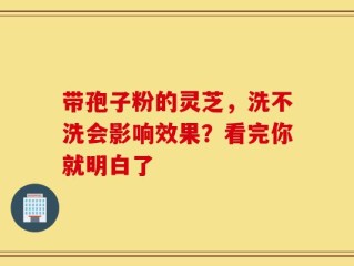 带孢子粉的灵芝，洗不洗会影响效果？看完你就明白了