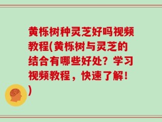 黄栎树种灵芝好吗视频教程(黄栎树与灵芝的结合有哪些好处？学习视频教程，快速了解！)