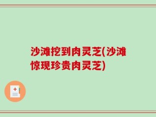沙滩挖到肉灵芝(沙滩惊现珍贵肉灵芝)