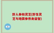 野人参和灵芝(野生灵芝与地震参养身益智)